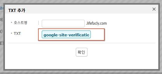 카페24 DNS 관리에서 TXT 관리 메뉴 선택 화면